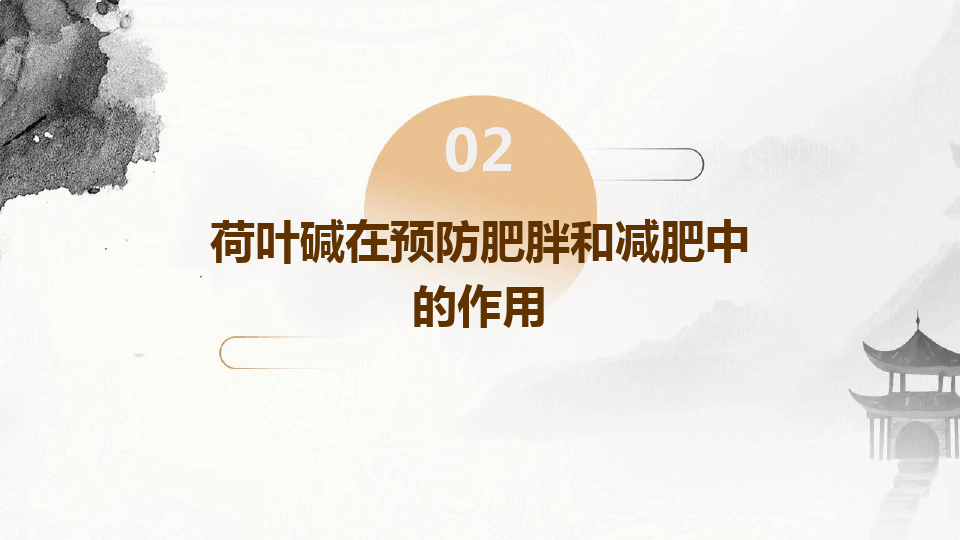 荷叶减肥原理和预防肥胖作用机制的研究(图6)