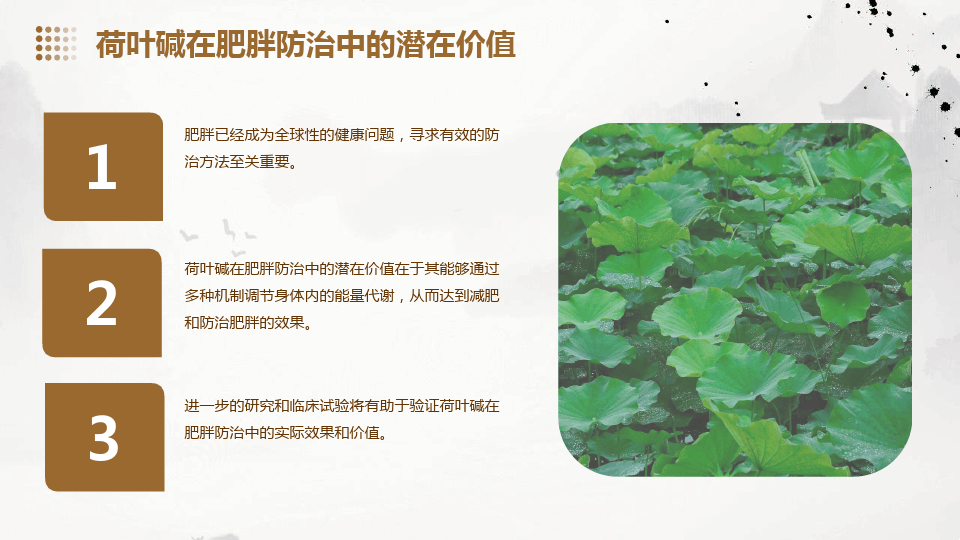 荷叶减肥原理和预防肥胖作用机制的研究(图20)