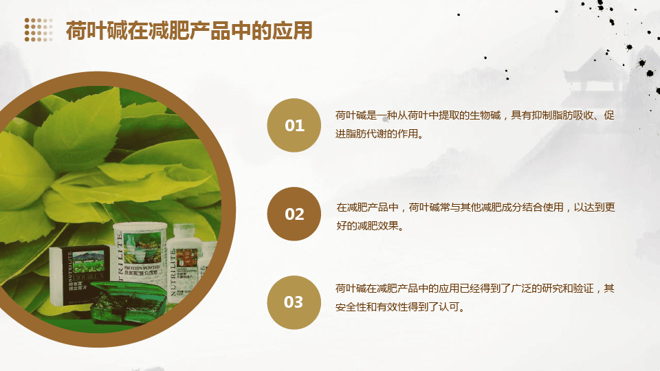 荷叶减肥原理和预防肥胖作用机制的研究(图19)