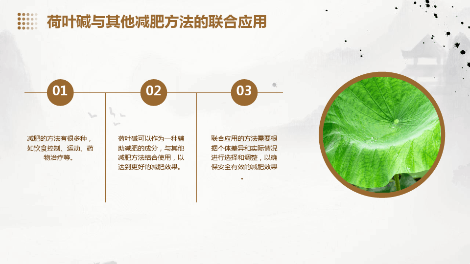 荷叶减肥原理和预防肥胖作用机制的研究(图21)