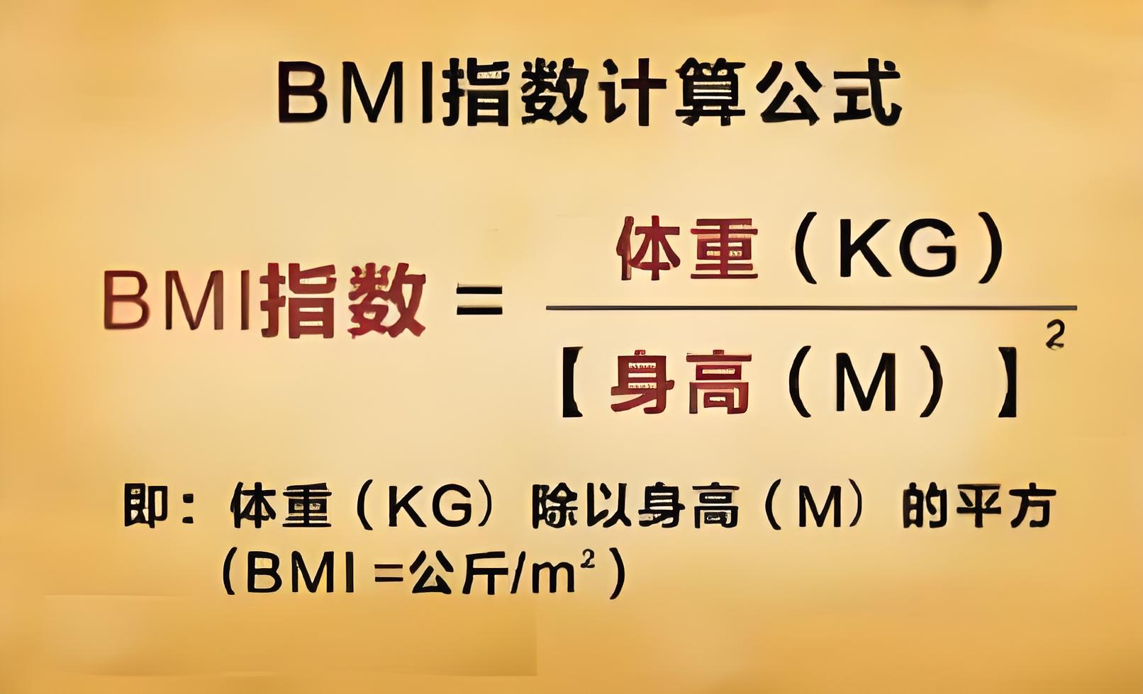 BMI体重指数：精准衡量肥胖程度的关键标准(图1)