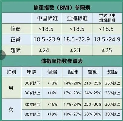 体脂率与BMI：哪个更精准反映健康状态？深入解析区别与关系(图2)