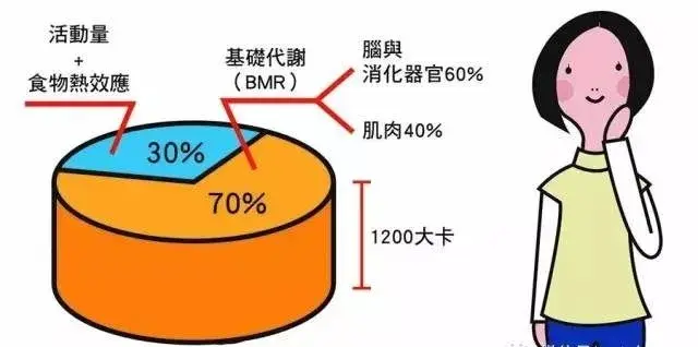 热量缺口：减肥成功的关键密码(图2)