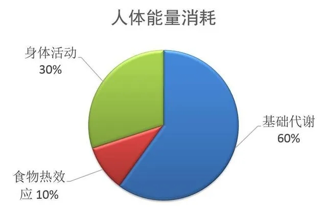 热量缺口计算全攻略：科学公式与安全范围掌握(图2)