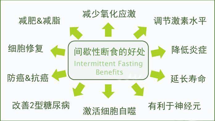 轻断食：揭秘轻断食的利与弊，附热量计算器推荐(图1)