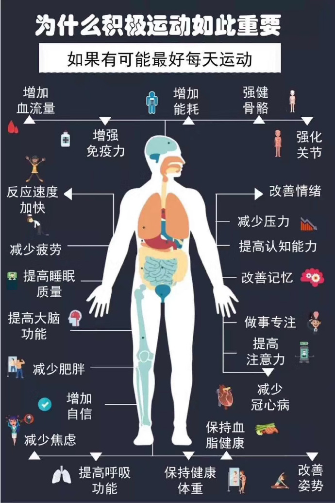 一分钟了解基础代谢率(BMR)(图3)